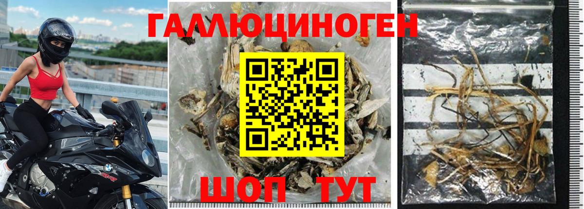 Псилоцибиновые грибы Cubensis  Псилоцибиновые грибы мицелий  Сергиев Посад  Вход с VPN 